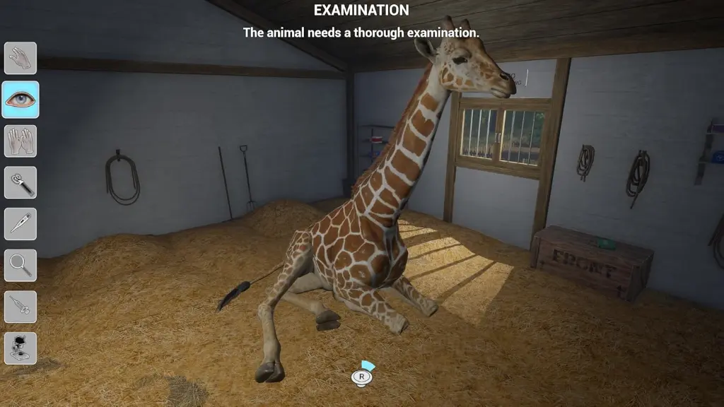 Vet  (4).webp