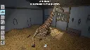 Vet  (4).webp