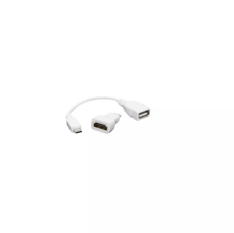 Adapter Kit | HDMI Mini & Micro USB Set