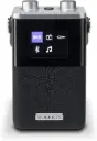 Roberts Blutune T2